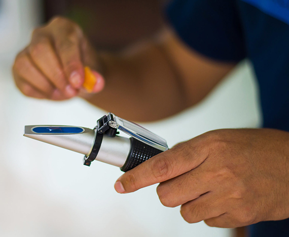 首页 | J9集团有限公司官网